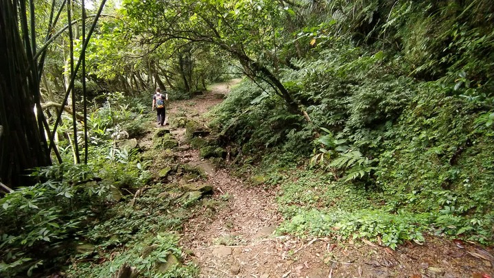 [樂山童盟] [新北雙溪] 虎豹潭古道-樓仔厝古道