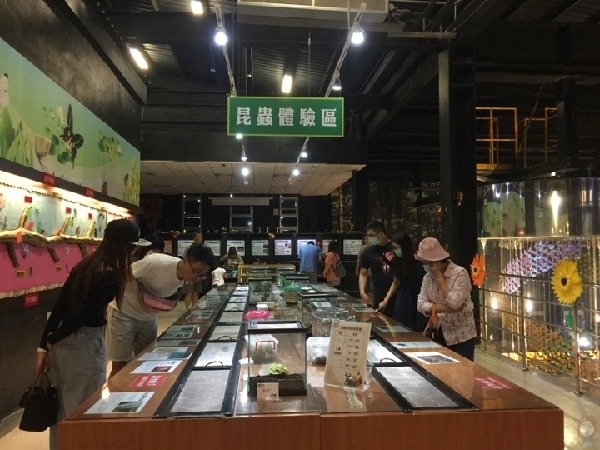 【嘉義景點】親子景點:嘉大昆蟲館-全球唯一彩蝶柱