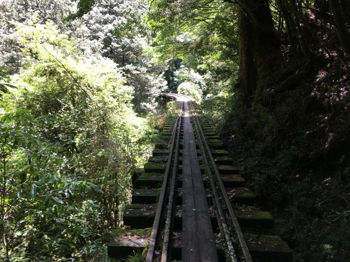 一個人探訪消失在雲霧中的森林鐵道-阿里山眠月線