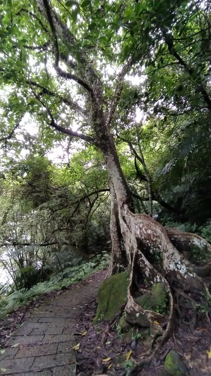 [樂山童盟] [新北石碇] 烏塗溪步道
