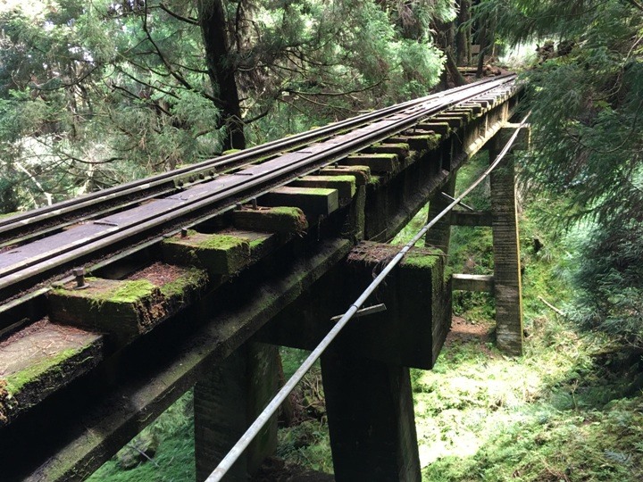 一個人探訪消失在雲霧中的森林鐵道-阿里山眠月線