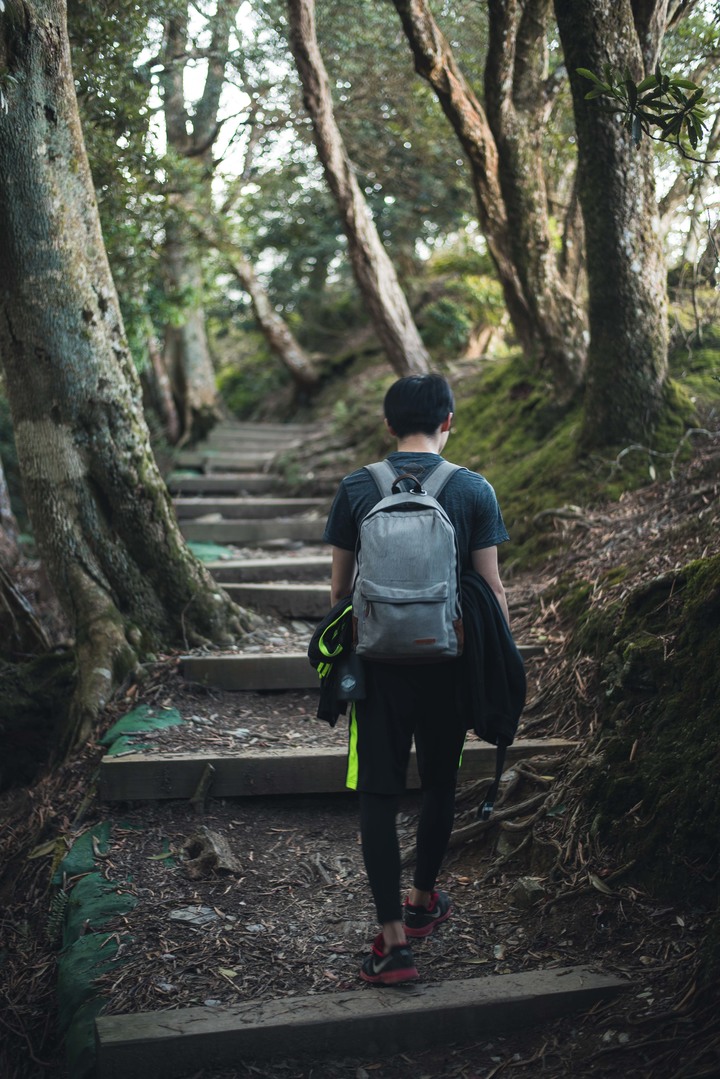 點我看大圖 登山道|北大武・單攻