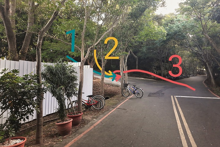 【90D】白腰鵲鴝繁殖紀錄