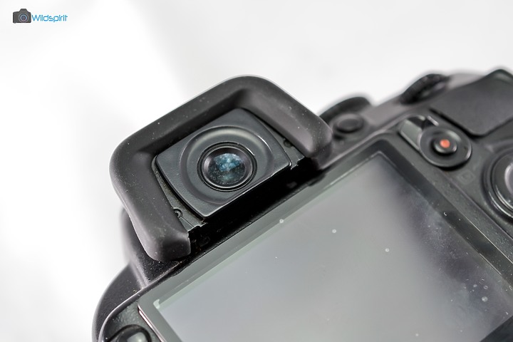 【NIKON D3100】32萬 VS 1萬 元件真的會老化!?