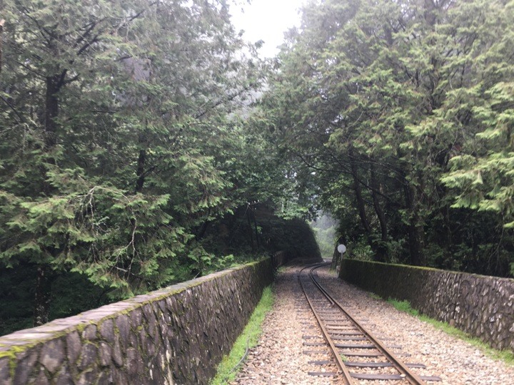 一個人探訪消失在雲霧中的森林鐵道-阿里山眠月線