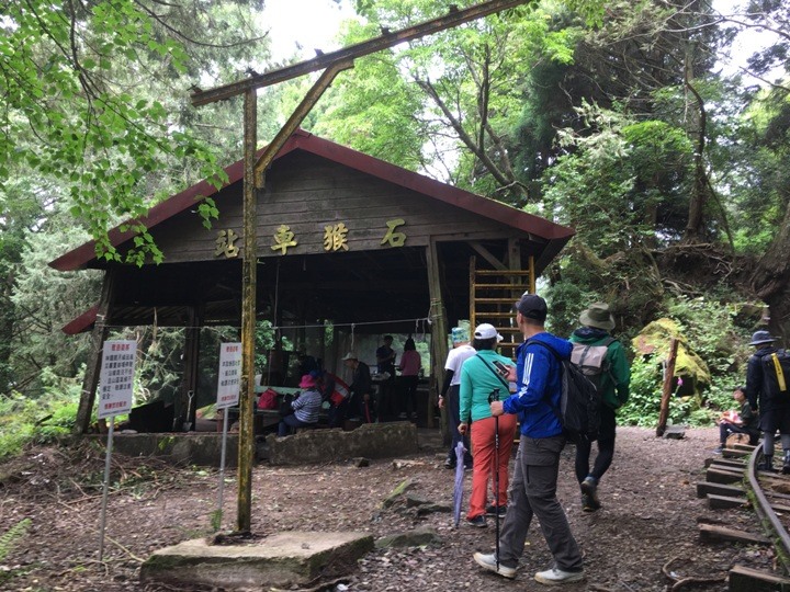 一個人探訪消失在雲霧中的森林鐵道-阿里山眠月線