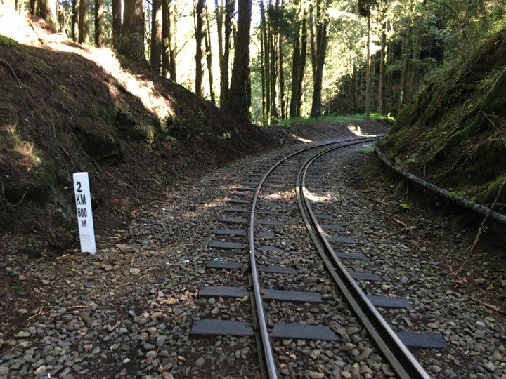 一個人探訪消失在雲霧中的森林鐵道-阿里山眠月線
