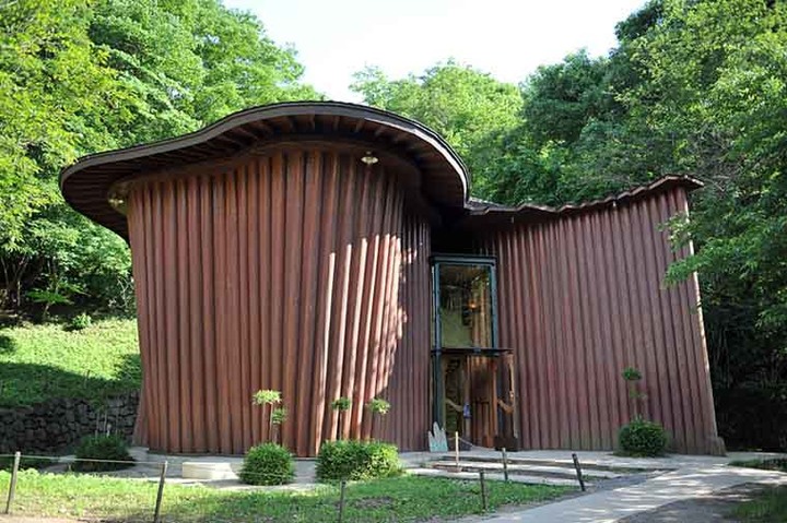 超夢幻!「嚕嚕米森林公園」恍如置身童話世界