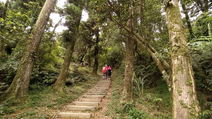 [樂山童盟] [基隆七堵] 姜子寮登山步道