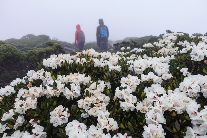 【南湖大山】你所未見的南湖大山