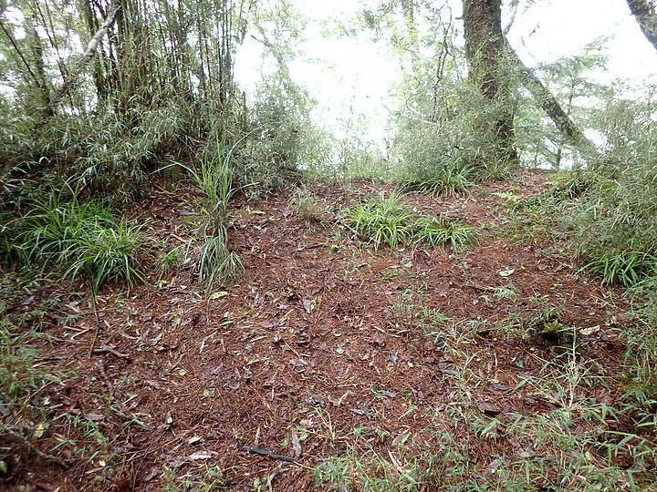 《桃山舊路》佐得寒山經塔雅府山上桃山