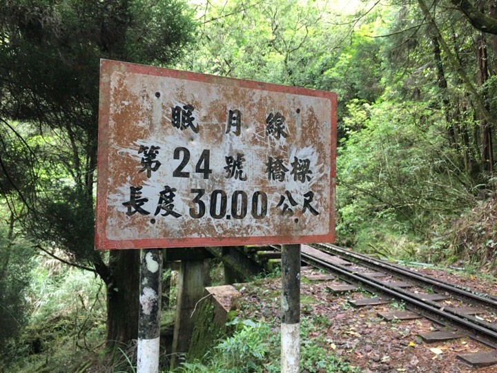 一個人探訪消失在雲霧中的森林鐵道-阿里山眠月線