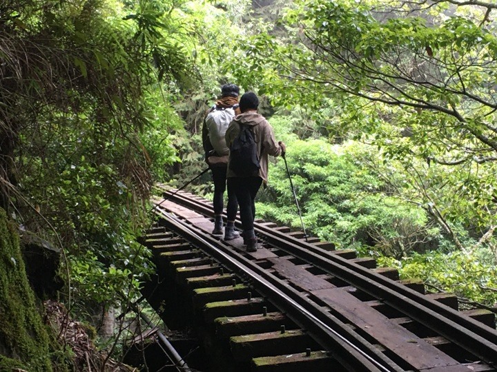 一個人探訪消失在雲霧中的森林鐵道-阿里山眠月線