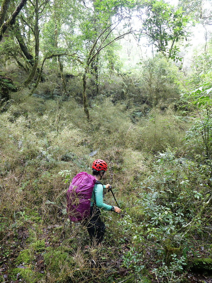 《桃山舊路》佐得寒山經塔雅府山上桃山