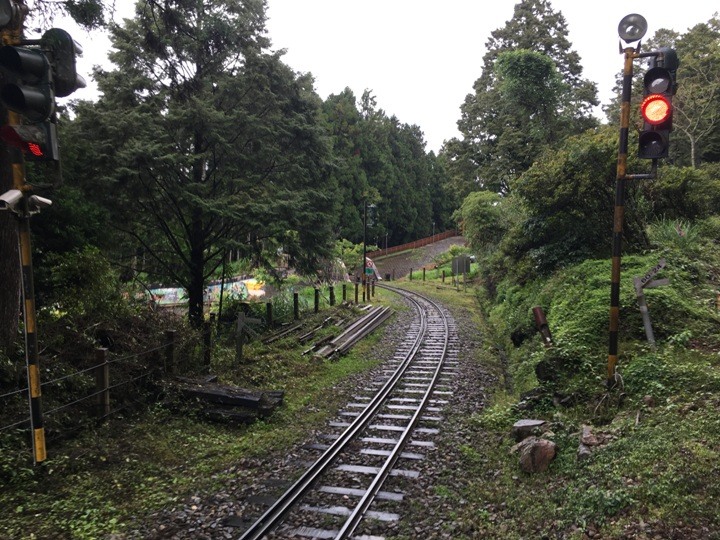 一個人探訪消失在雲霧中的森林鐵道-阿里山眠月線