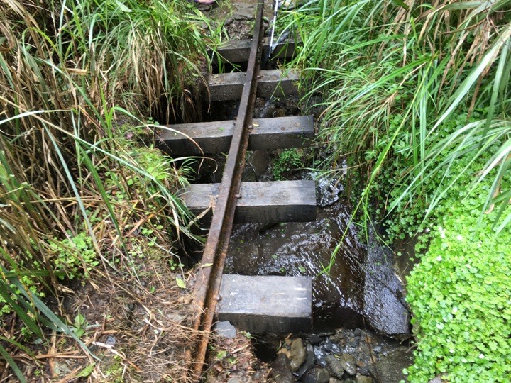 一個人探訪消失在雲霧中的森林鐵道-阿里山眠月線