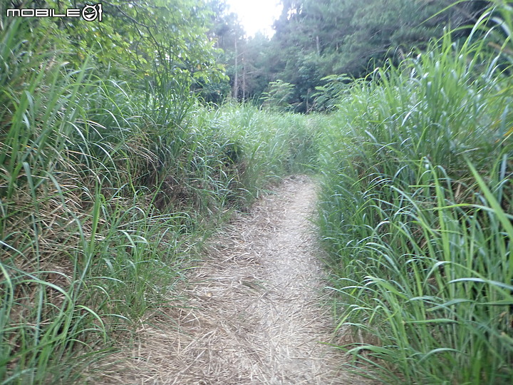 2020.06.21.一日雪劍(超挑戰路線)超美路