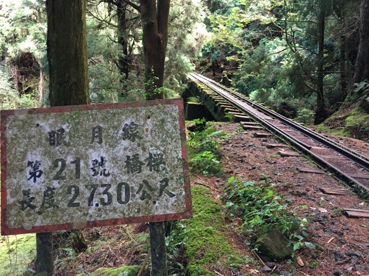 一個人探訪消失在雲霧中的森林鐵道-阿里山眠月線
