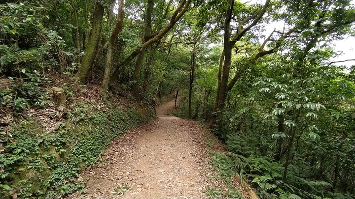 [樂山童盟] [基隆七堵] 姜子寮登山步道