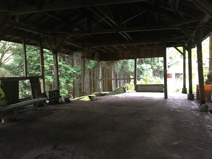 一個人探訪消失在雲霧中的森林鐵道-阿里山眠月線