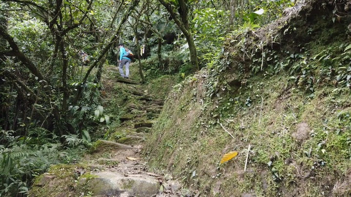 [樂山童盟] [新北雙溪] 虎豹潭古道-樓仔厝古道