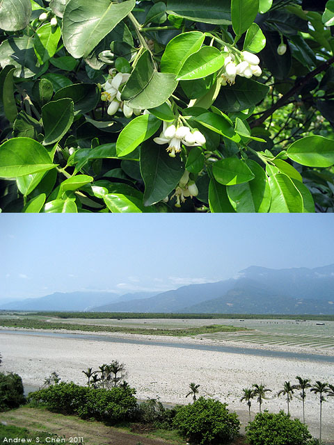 最甜蜜的單車環島(2011年追尋消失中的煙囪)
