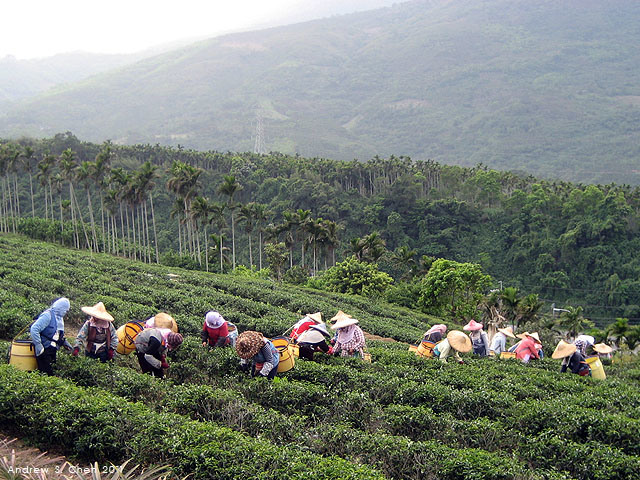最甜蜜的單車環島(2011年追尋消失中的煙囪)