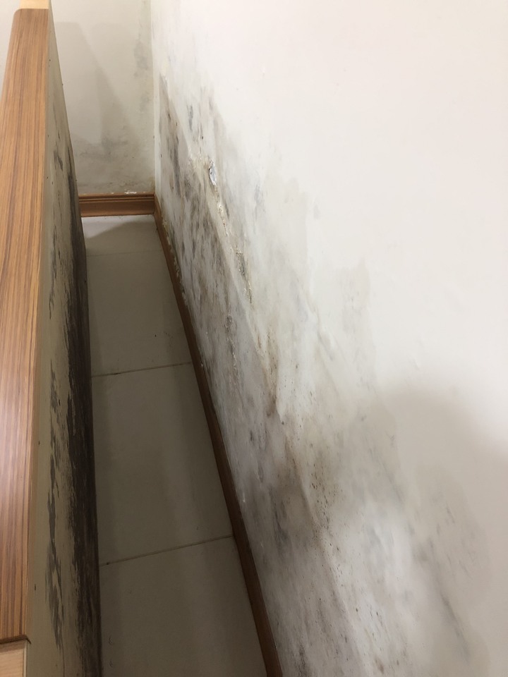 ［請益］房間壁癌的解法