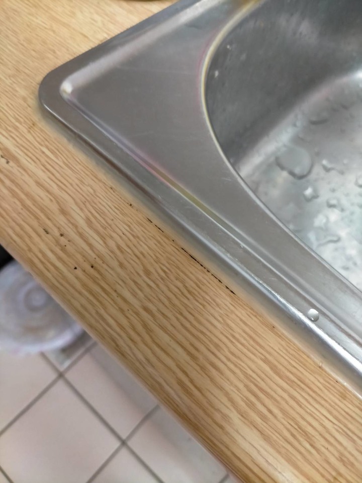 廚房不鏽鋼水槽速力康更新