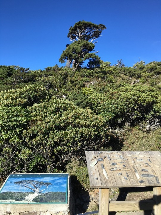 今夏五月天，難忘嘉明湖