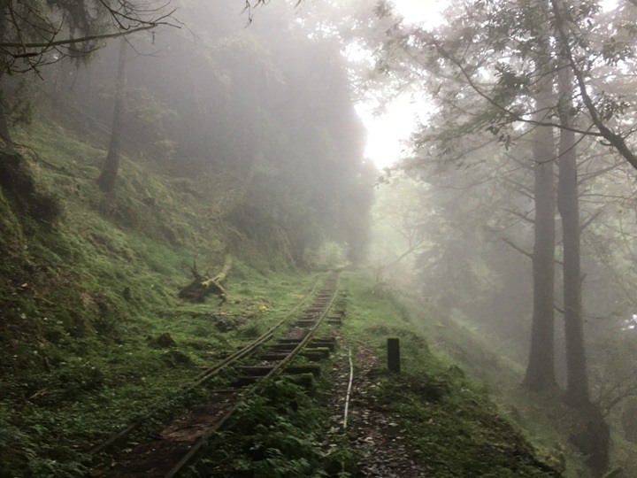 一個人探訪消失在雲霧中的森林鐵道-阿里山眠月線