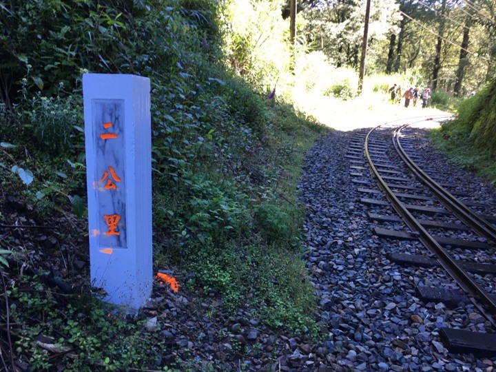 一個人探訪消失在雲霧中的森林鐵道-阿里山眠月線