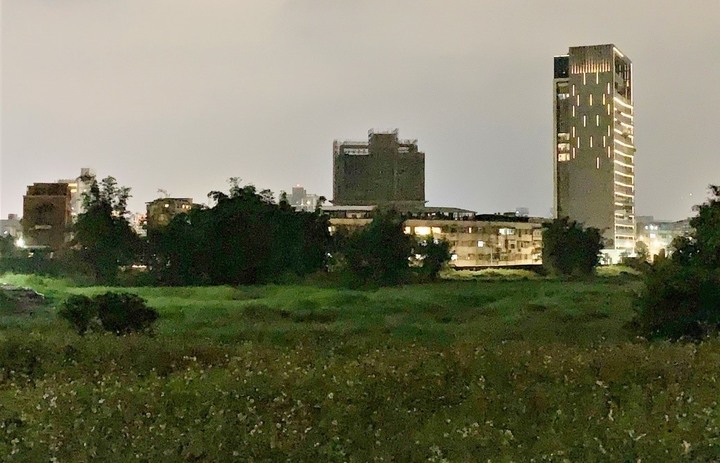 南港新庄仔埤-夜間生態觀察
