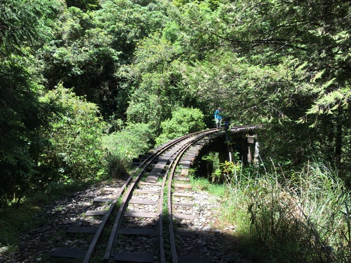 一個人探訪消失在雲霧中的森林鐵道-阿里山眠月線