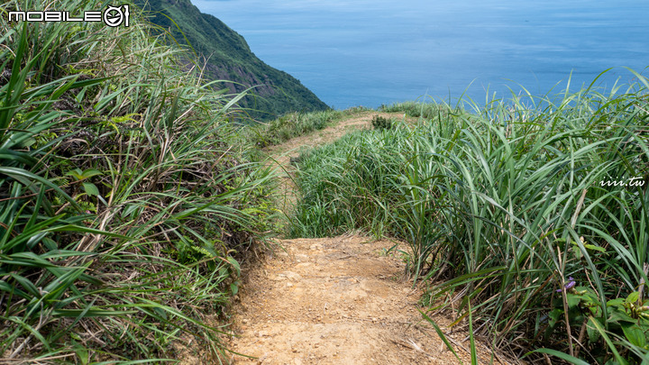 東北角攝影秘境・哈巴狗岩