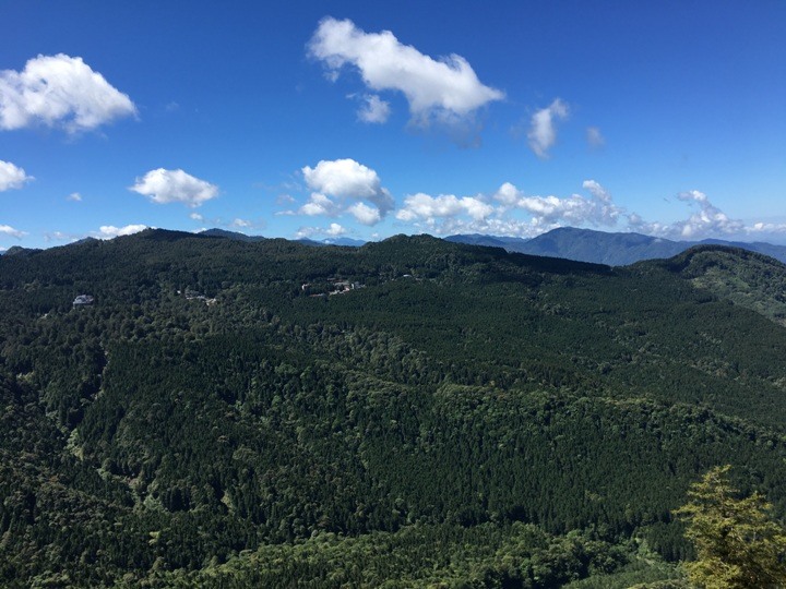 一個人探訪消失在雲霧中的森林鐵道-阿里山眠月線