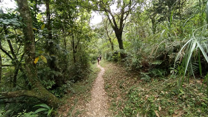 [樂山童盟] [新北雙溪] 虎豹潭古道-樓仔厝古道