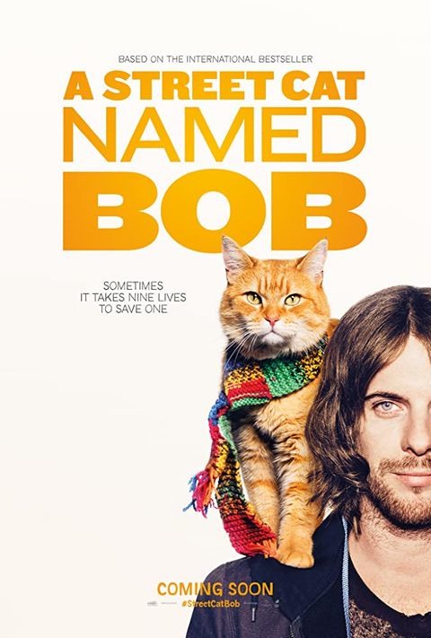《遇見街貓BOB》最紅街貓「Bob」享年14歲,主人悲痛表示:「我生命的燈光熄滅了!」