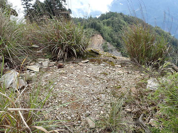 《桃山舊路》佐得寒山經塔雅府山上桃山