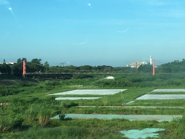一個人探訪消失在雲霧中的森林鐵道-阿里山眠月線