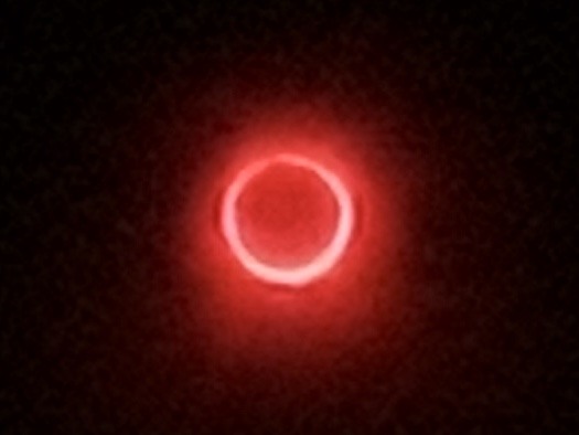 日環追日環 (一日環島看日環食)