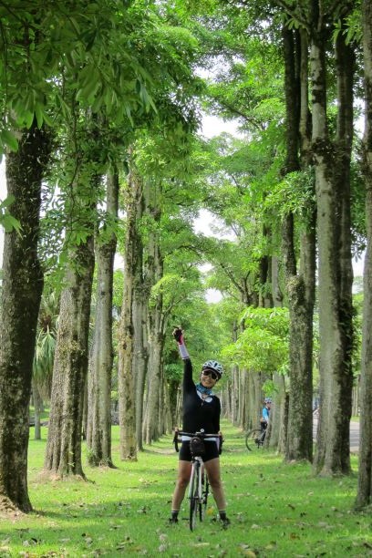 把單車騎進故事裡-屬於平原恬適的顏色,幾度咖啡莊園的邂逅