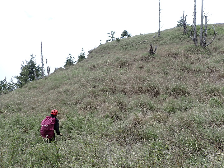 《桃山舊路》佐得寒山經塔雅府山上桃山