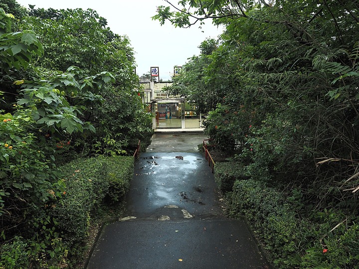 花蓮 富源車站｜拔仔庄常民文化館、大農大富平地森林園區、光復車站、翁游韭菜臭豆腐、廖快菸樓｜大榮國小教師宿舍｜林田警察官吏派出所及舊林田派出所、森山舍咖啡、新城(太魯閣)車站、崇德車站—梅雨季中的花蓮旅行，第四部