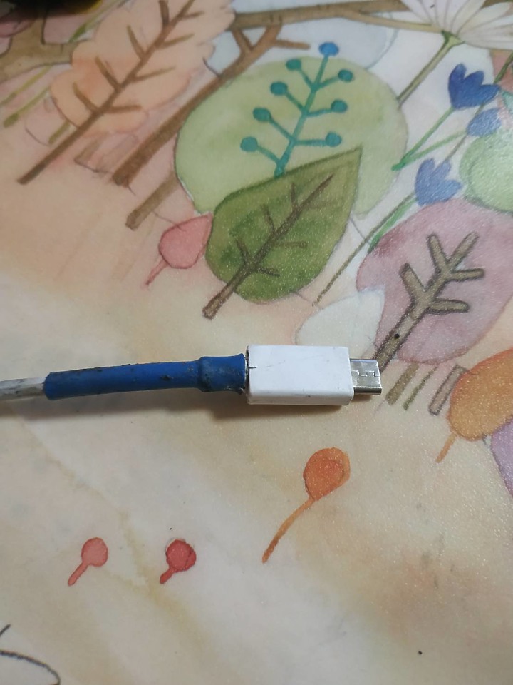 ASUS 行動電源突然自燃......大家使用行動電源真的要小心!