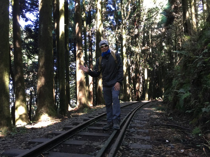 一個人探訪消失在雲霧中的森林鐵道-阿里山眠月線