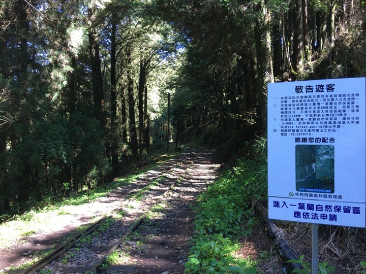 一個人探訪消失在雲霧中的森林鐵道-阿里山眠月線
