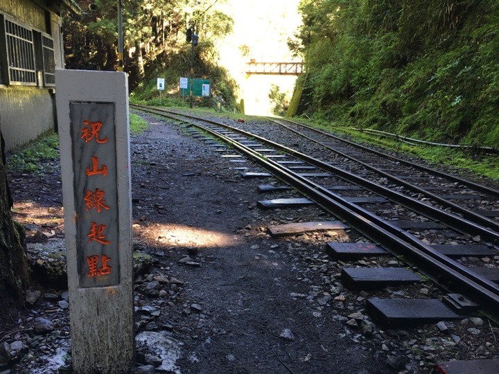 一個人探訪消失在雲霧中的森林鐵道-阿里山眠月線