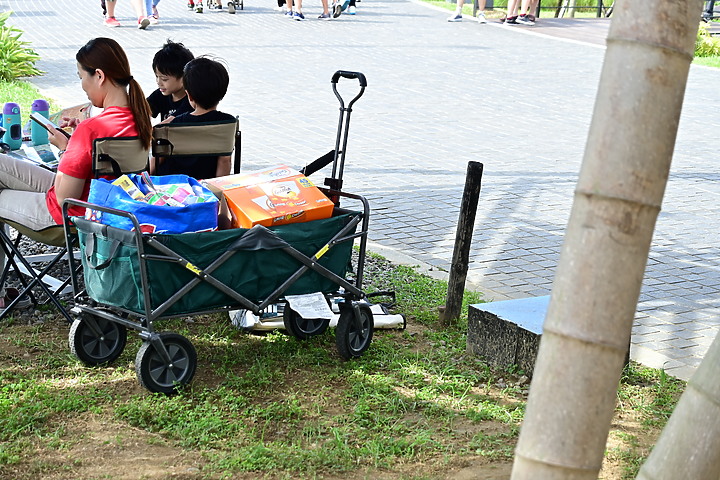 點我看大圖 Nikon D6嘉義故宮南院2020年夏至日環食全記錄,星軌拍攝造成全台最像金戒指的日環食。