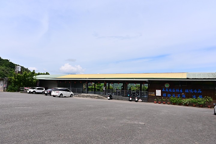 東道咖啡:88歲阿伯和87歲阿嬤歡迎大家上山品嚐他們家美味的咖啡